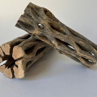 Cholla wood