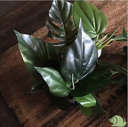 KUNSTPLANT Anubias