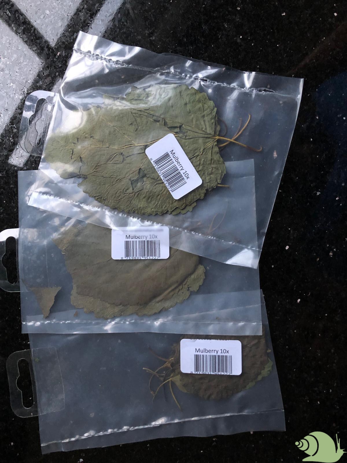 Mulberry bladeren per 10