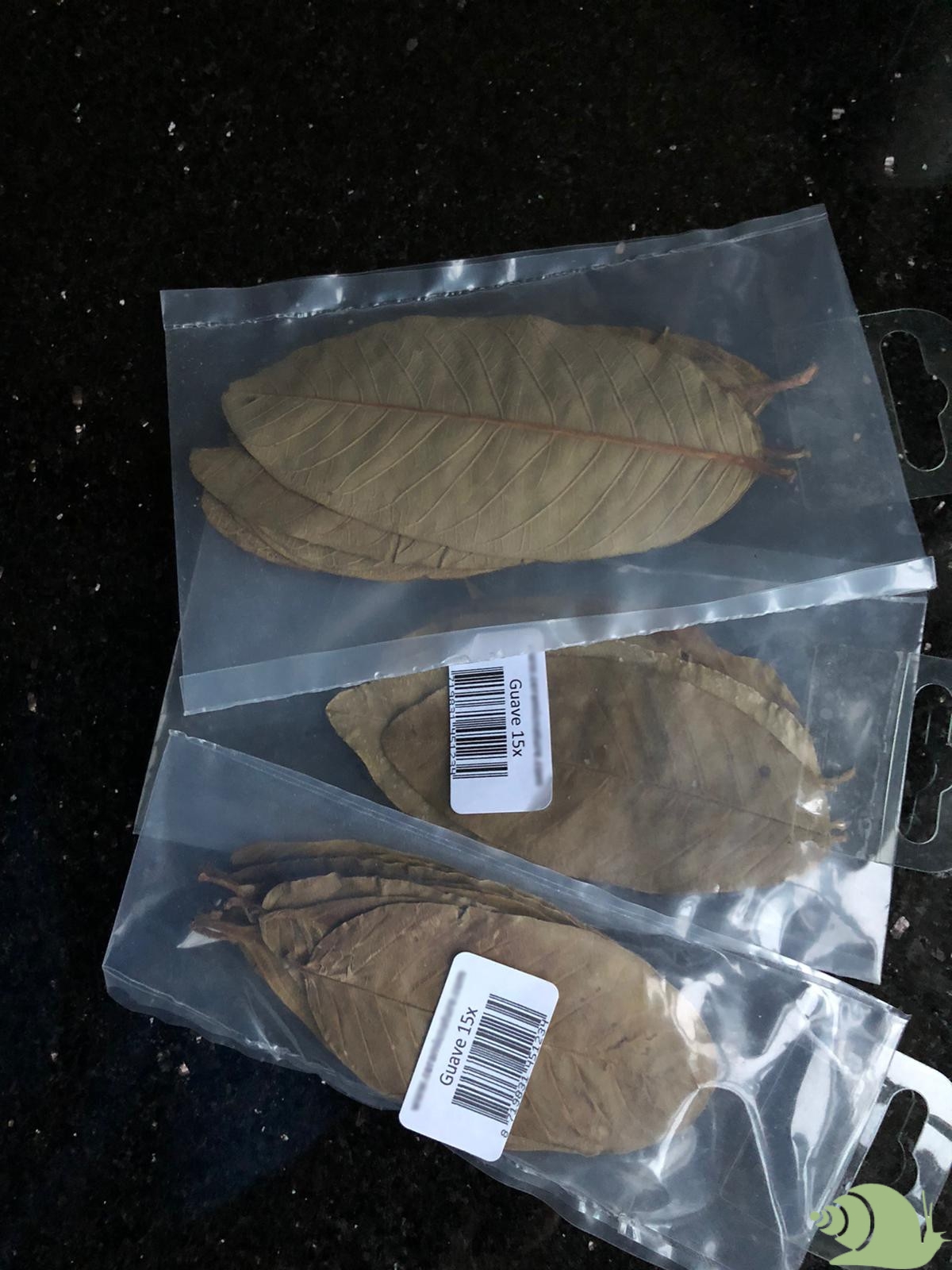 Guave bladeren per 15