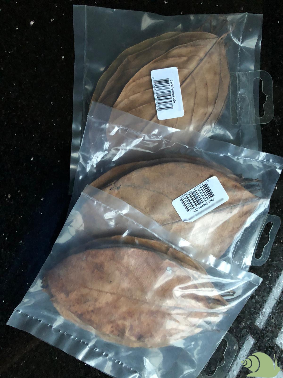 Jack fruit leaves per 20