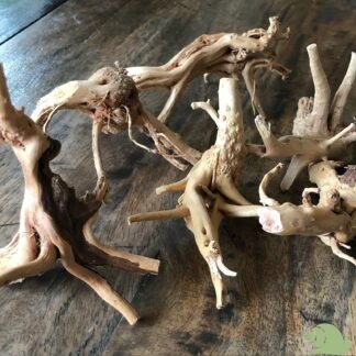 Drift wood 10-15 CM