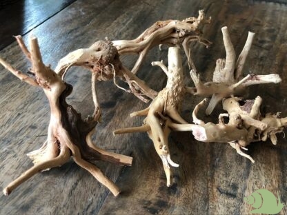 Drift wood 10-15 CM