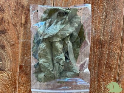 Walnootblad groen10 gram