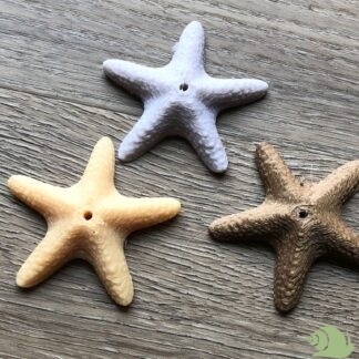 Lolliehouder zeester