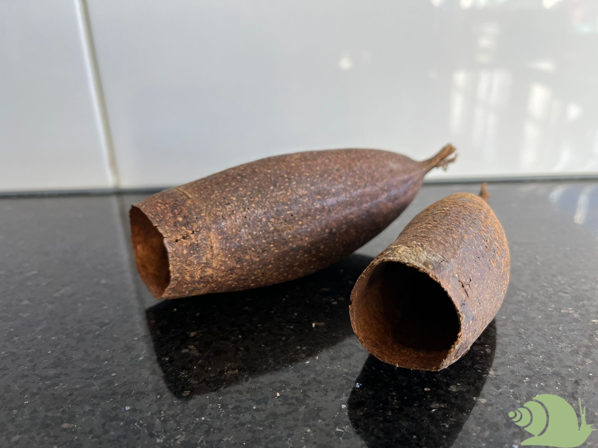 Sero Fino pod - hoorncapsule