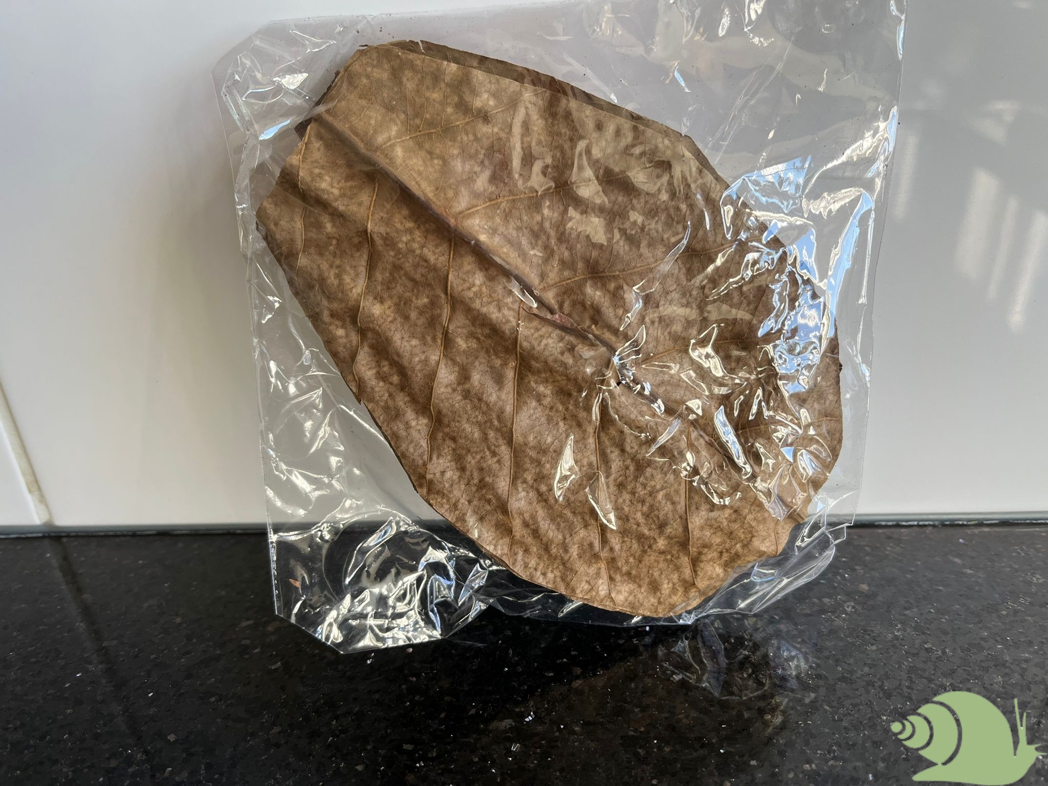 Zee-amandelblad - XL 10 stuks