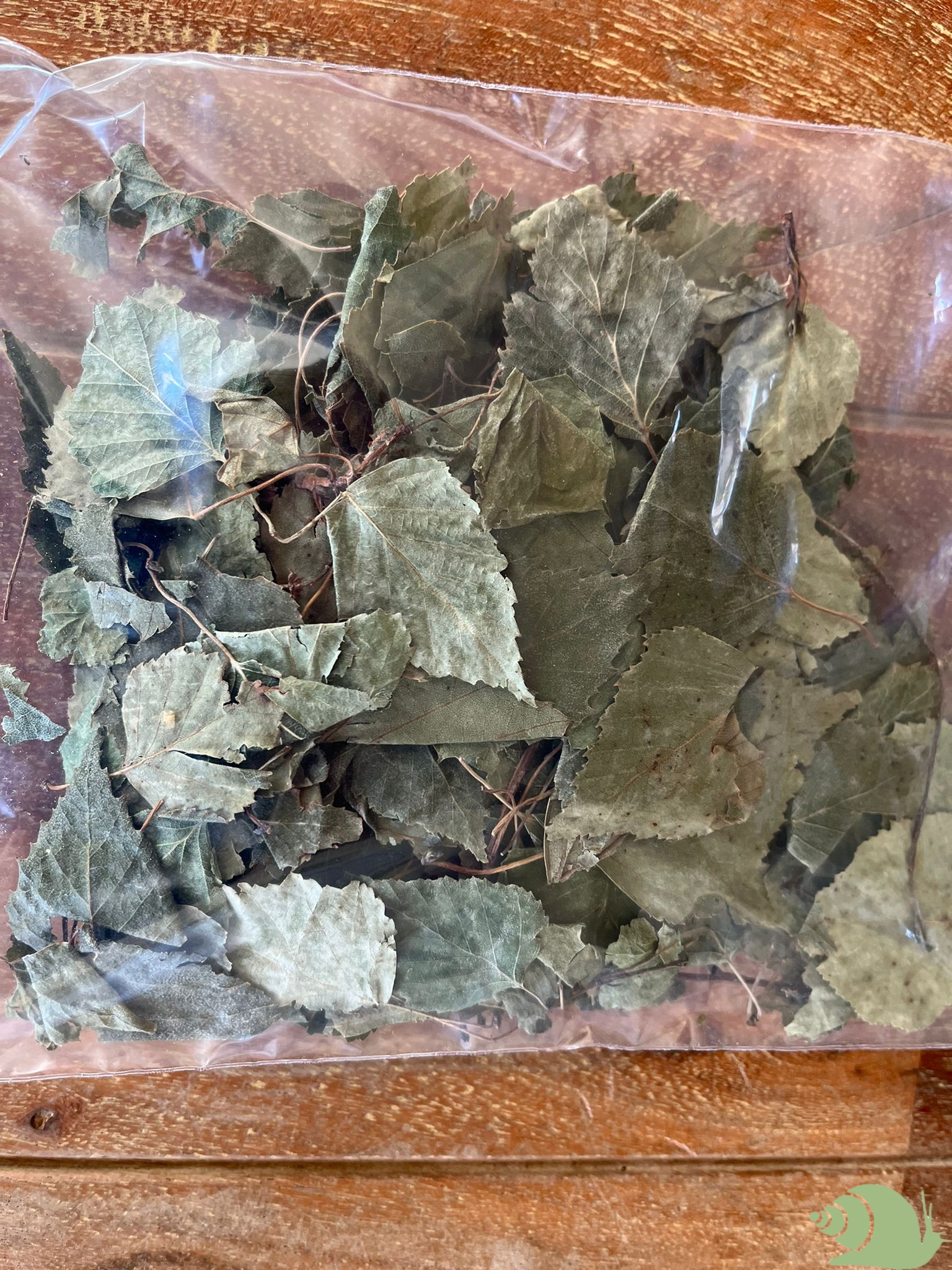 Berkenblad groen 50 stuks