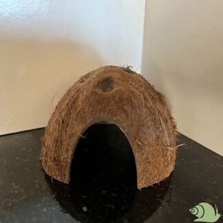 kokosnoot grot