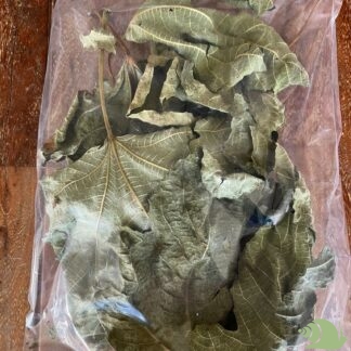 Vijgenbladeren groen XL 5 stuks