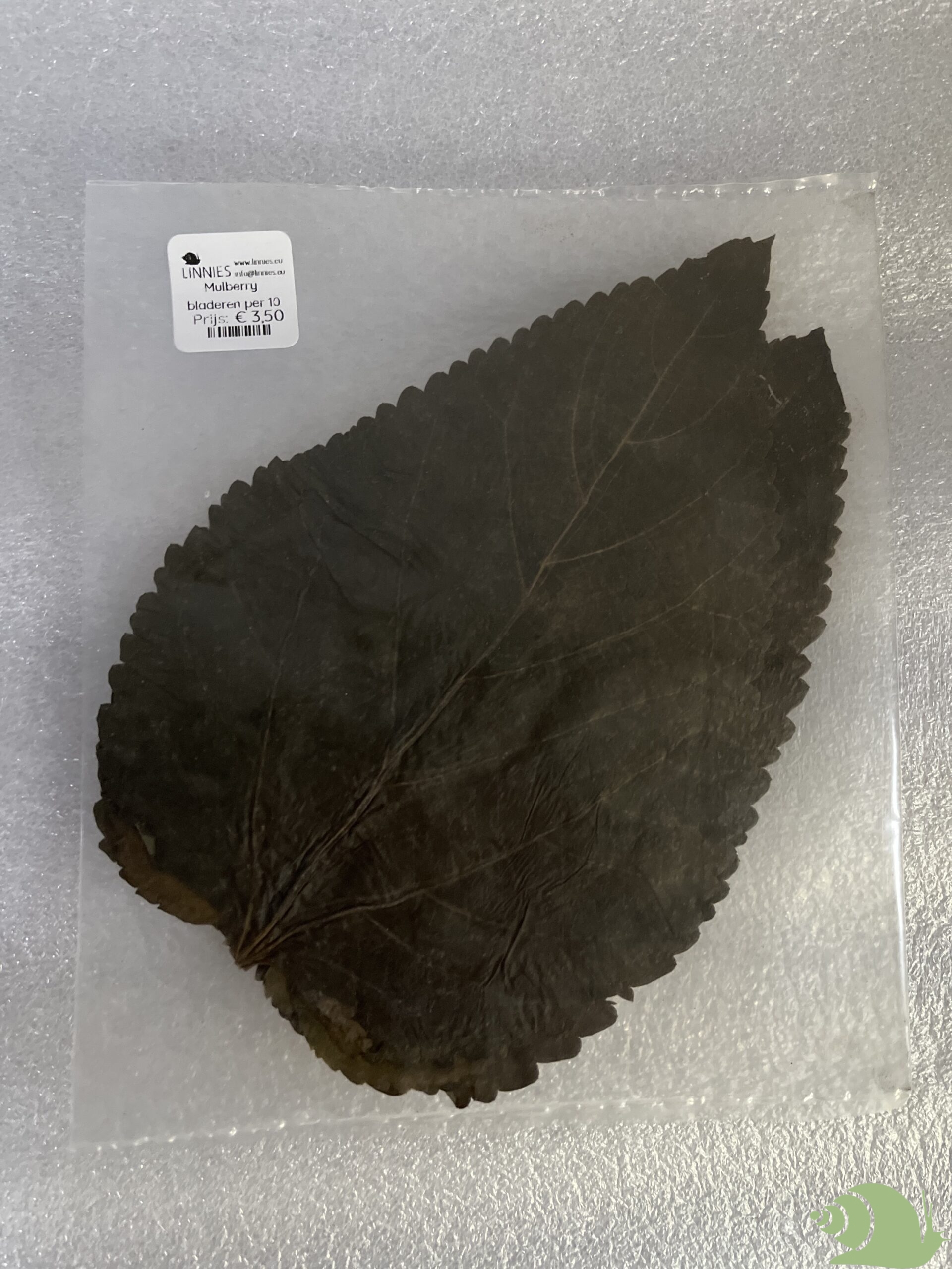 Moerbei bladeren 5 gram