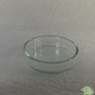 Voer glaasje 43 MM