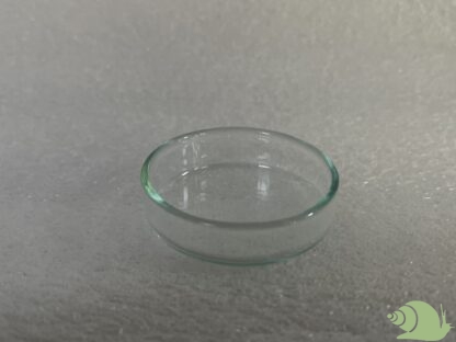 Voer glaasje 43 MM