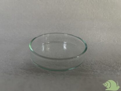 Voer glaasje 60 MM