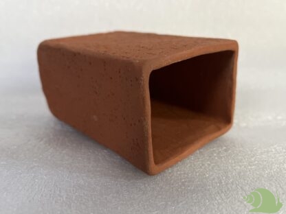 Kreeft Grot L