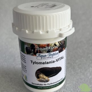Aqua tropica Tylomelania Vital