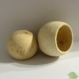 Bell Cup naturel