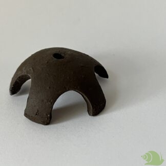 Aqua Nova Garnalenster