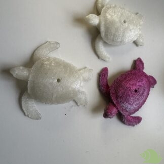 Lolliehouder schildpad