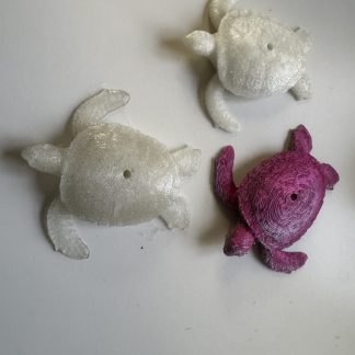 Lolliehouder schildpad