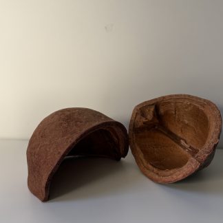 Casa Tingui | Magonia pubescens